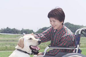 海田町で評判の歯医者トップ12選｜2025年最新おすすめガイド