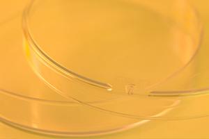 安心して通える！熊本の産婦人科選びのポイントとおすすめクリニック