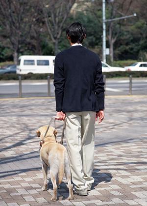 おきむら歯科で受ける治療の特徴について