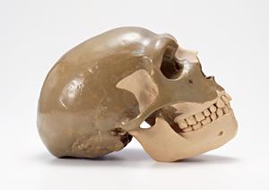 2025年最新版：幸手で選ばれる歯医者の特徴と最適な治療法