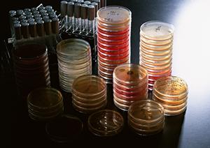 松戸八柱エリアで利用しやすい歯医者