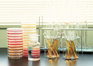 土・日・祝日も診療を行っている動物病院